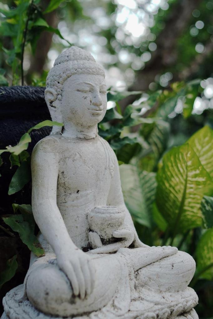 Sattva Yoga Retreat Villas Canggu Εξωτερικό φωτογραφία